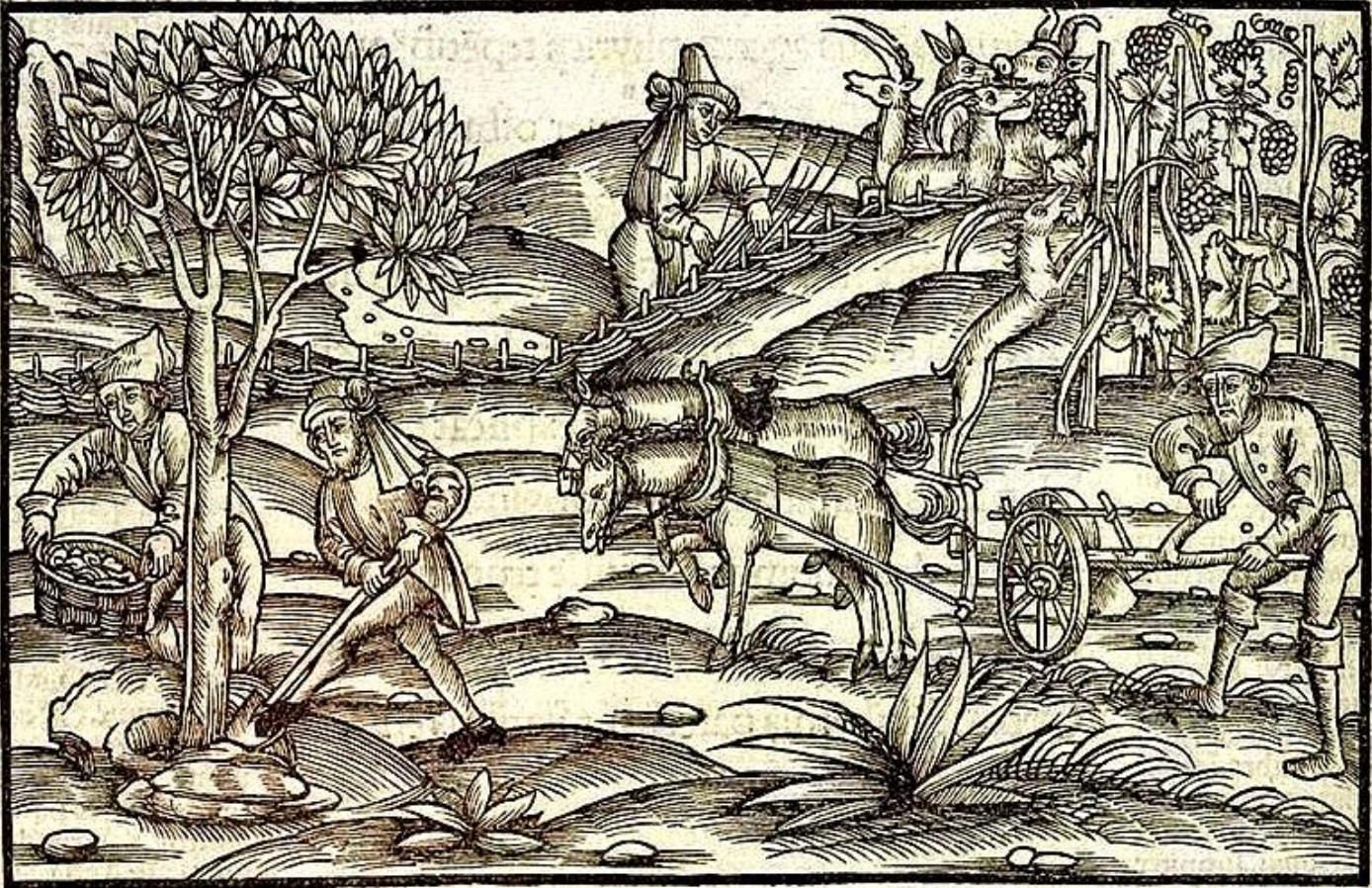 Holzstich von Sebastian Brant: Bauern bei der Feldarbeit, ca. 1502